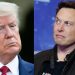 Donald Trump le ofreció a Elon Musk ser el Sturzenegger de EEUU