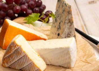 El queso puede ser muy beneficioso para el cerebro, según un neurólogo