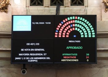 El Senado aprobó el proyecto de Boleta Única con modificaciones y ahora vuelve a Diputados