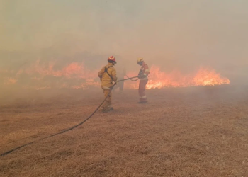 Incendios en Córdoba: presentaron un proyecto para aumentar las penas para quienes provoquen el fuego