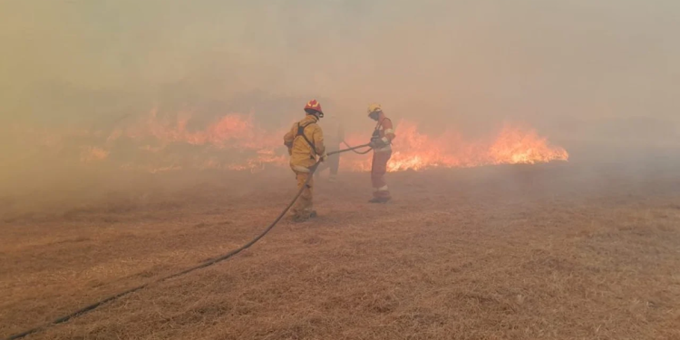 Incendios en Córdoba: presentaron un proyecto para aumentar las penas para quienes provoquen el fuego