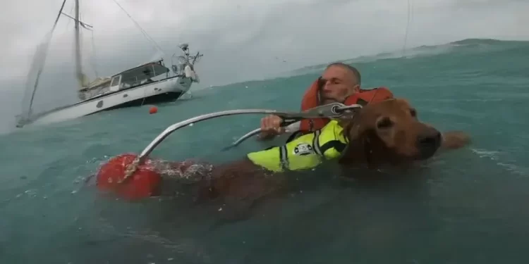 La guardia costera rescató a un hombre y a su perro mientras arremetía el huracán Helene