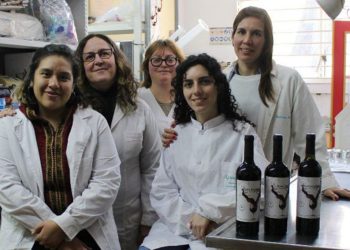 Lanzan el primer vino creado por una universidad pública
