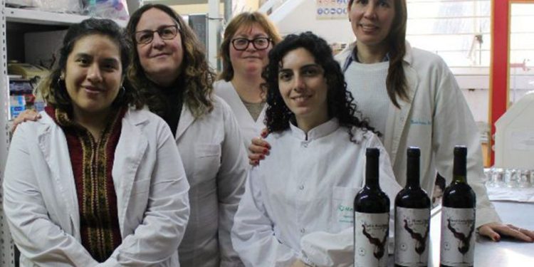 Lanzan el primer vino creado por una universidad pública