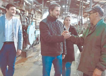 Lanzan proyecto para aprovechar el descarte del procesamiento industrial de la lana