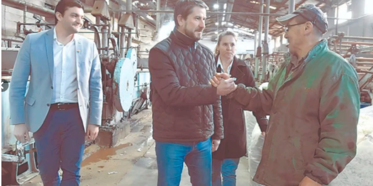 Lanzan proyecto para aprovechar el descarte del procesamiento industrial de la lana