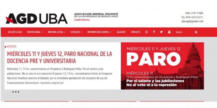 Nuevo paro y movilización de los docentes universitarios