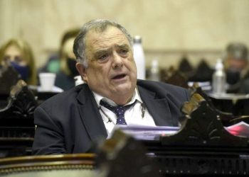 Piden que el gobierno cumpla con la Ley de Medios y que los partidos de la Selección los transmita la TV pública