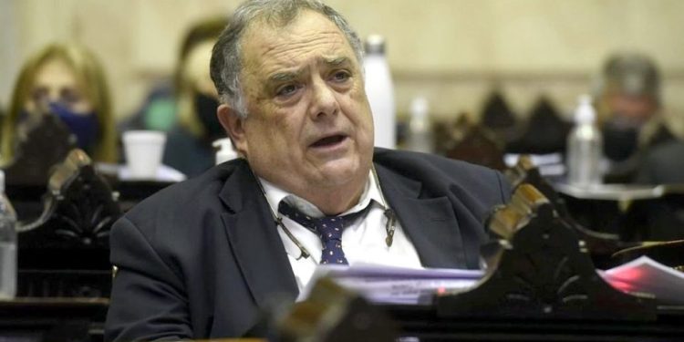 Piden que el gobierno cumpla con la Ley de Medios y que los partidos de la Selección los transmita la TV pública