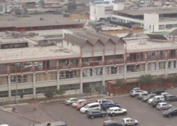 Se registró el primer caso de viruela del mono en Chile: el contagio fue importado