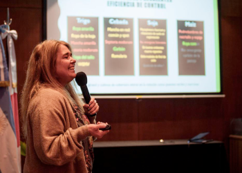 Trigo: la detección de lotes con roya amarilla obliga a intensificar los monitoreos