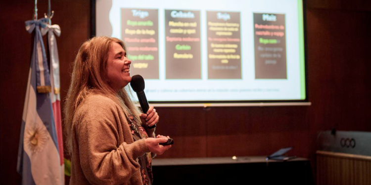 Trigo: la detección de lotes con roya amarilla obliga a intensificar los monitoreos