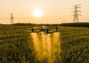 Agro Management 2024: La transformación del agro, contada por especialistas