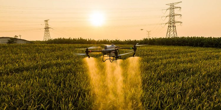 Agro Management 2024: La transformación del agro, contada por especialistas