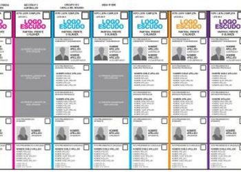 Boleta Única en Diputados: por presión de provincialismos se eliminará la opción “lista completa”