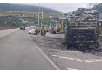 Brutal ataque en Brasil: barrabravas de Palmeiras prendieron fuego un micro y un hincha de Cruzeiro murió carbonizado