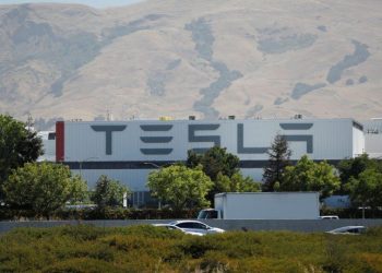 EEUU: investigan el sistema de conducción autónoma de Tesla luego de la muerte de un peatón