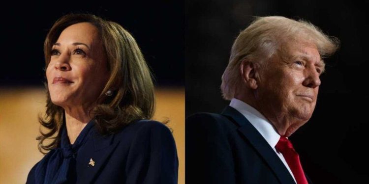 Elecciones en EEUU: los cinco temas cruciales de la campaña presidencial