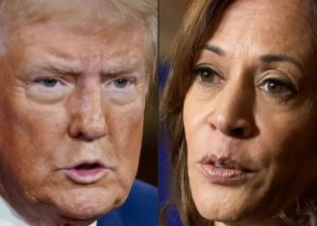 Elecciones en Estados Unidos: Kamala Harris se someterá a un test cognitivo luego de que Donald Trump le dijera “estúpida”