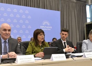 Fuerte cruce entre Patricia Bullrich y Leopoldo Moreau: “¿Querés que te cuente la plata que cobraste de Yabrán?”