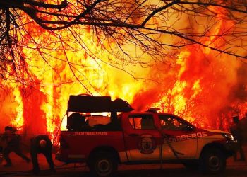 “La Sociedad Rural culpa al bosque nativo por los incendios”
