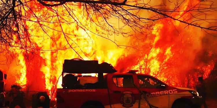 “La Sociedad Rural culpa al bosque nativo por los incendios”