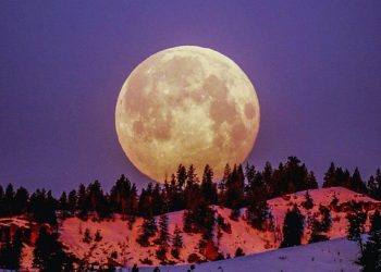 Luna del Cazador 2024: qué es y cómo ver este fenómeno astronómico en Argentina