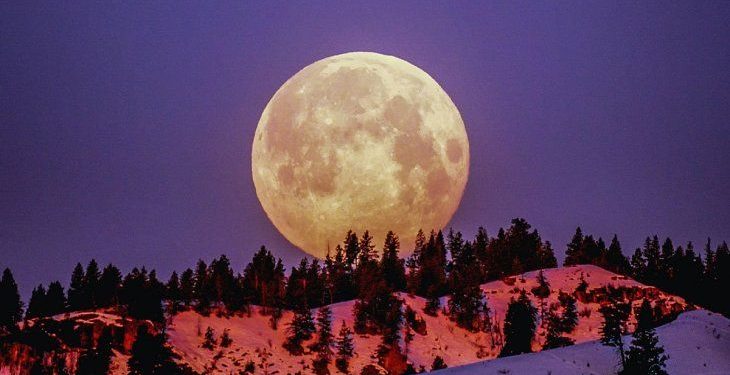 Luna del Cazador 2024: qué es y cómo ver este fenómeno astronómico en Argentina
