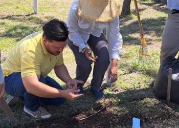 El programa «Cultivamos alimentos» se encuentra 100% activo