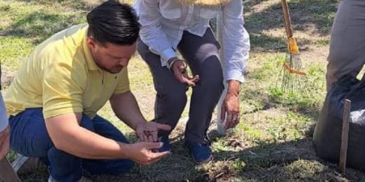 El programa «Cultivamos alimentos» se encuentra 100% activo