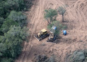Gravísimo: Los desmontes en el norte superaron las 100.000 hectáreas en lo que va del año