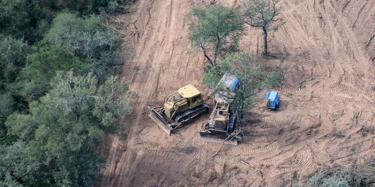 Gravísimo: Los desmontes en el norte superaron las 100.000 hectáreas en lo que va del año