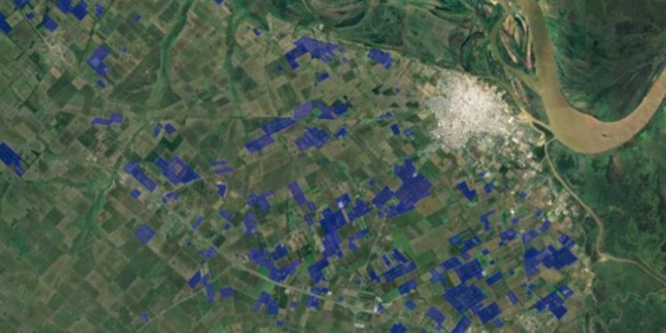 Buscan potenciar la fruticultura bonaerense: cuáles son los cultivos más extendidos en la provincia