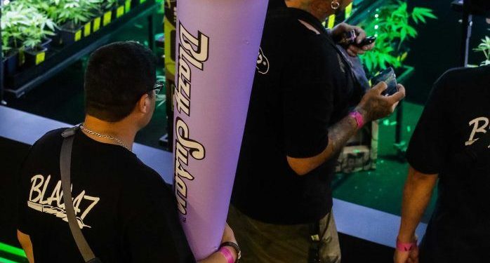 Ciencia, salud e industria: en La Rural, el cannabis florece más vivo que nunca