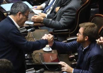 Confirmado: oposición votará en el Congreso limitar los DNUs de Javier Milei