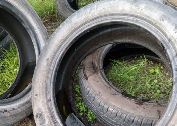 Confirman el primer caso de dengue autóctono en provincia de Buenos Aires