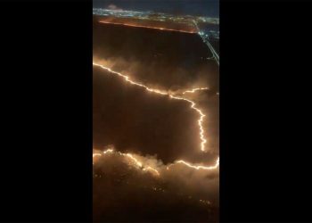 Córdoba: tras los fuegos, avanzan los negocios y la Rural busca que los bosques sean tierra para vacas y pasturas exóticas