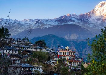 Dengue: el cambio climático y la urbanización aceleran la propagación de los mosquitos en un tradicional país asiático