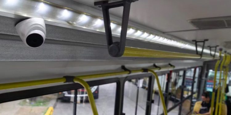 El fin de los colectivos de colores en la Ciudad de Buenos Aires: por qué ahora serán todos azules