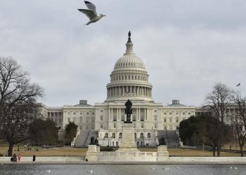 Estados Unidos: con presencia en el Senado, los republicanos se disputan la Cámara de Representantes