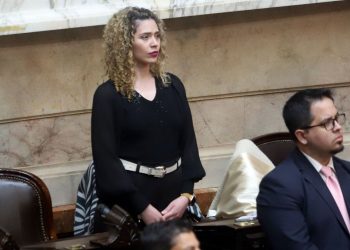 Ficha Limpia: Lourdes Arrieta no dio quórum y se largó a llorar al explicar los motivos en la sesión de Diputados
