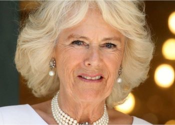 Preocupación por la salud de reina Camila: suspendió actos oficiales