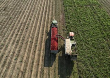 Senado: exaliado libertario presentó un “mini RIGI agropecuario” para que Nación reintegre las retenciones