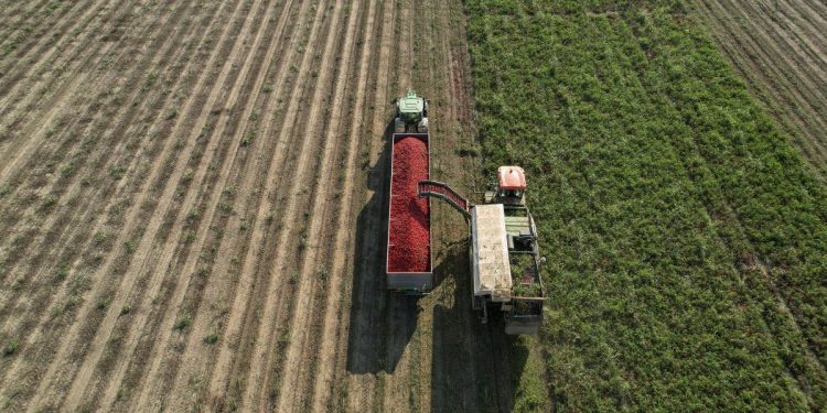 Senado: exaliado libertario presentó un “mini RIGI agropecuario” para que Nación reintegre las retenciones
