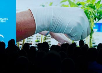 «Si no hacemos agrobiotecnología no vamos a poder darle de comer a todos»