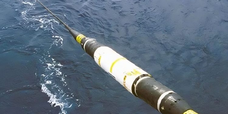 Transformación digital: instalan otro cable submarino para ampliar la conectividad de fibra en América latina