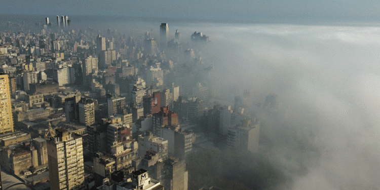 Alarmas de la crisis climática sobre la salud: la quema de humedales ya aumentó el número de infartos