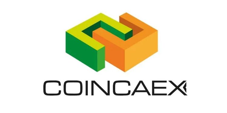 Coincaex lanza Coincaex Money