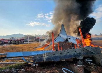 Corea del Sur: qué se sabe del accidente de un avión de Jeju Air que dejó 177 muertos
