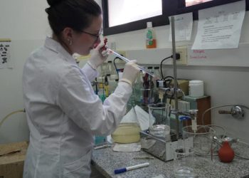 Dengue: se expande la resistencia de los mosquitos a los insecticidas